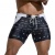 Quick-Drying Swimming Trunks: L Black